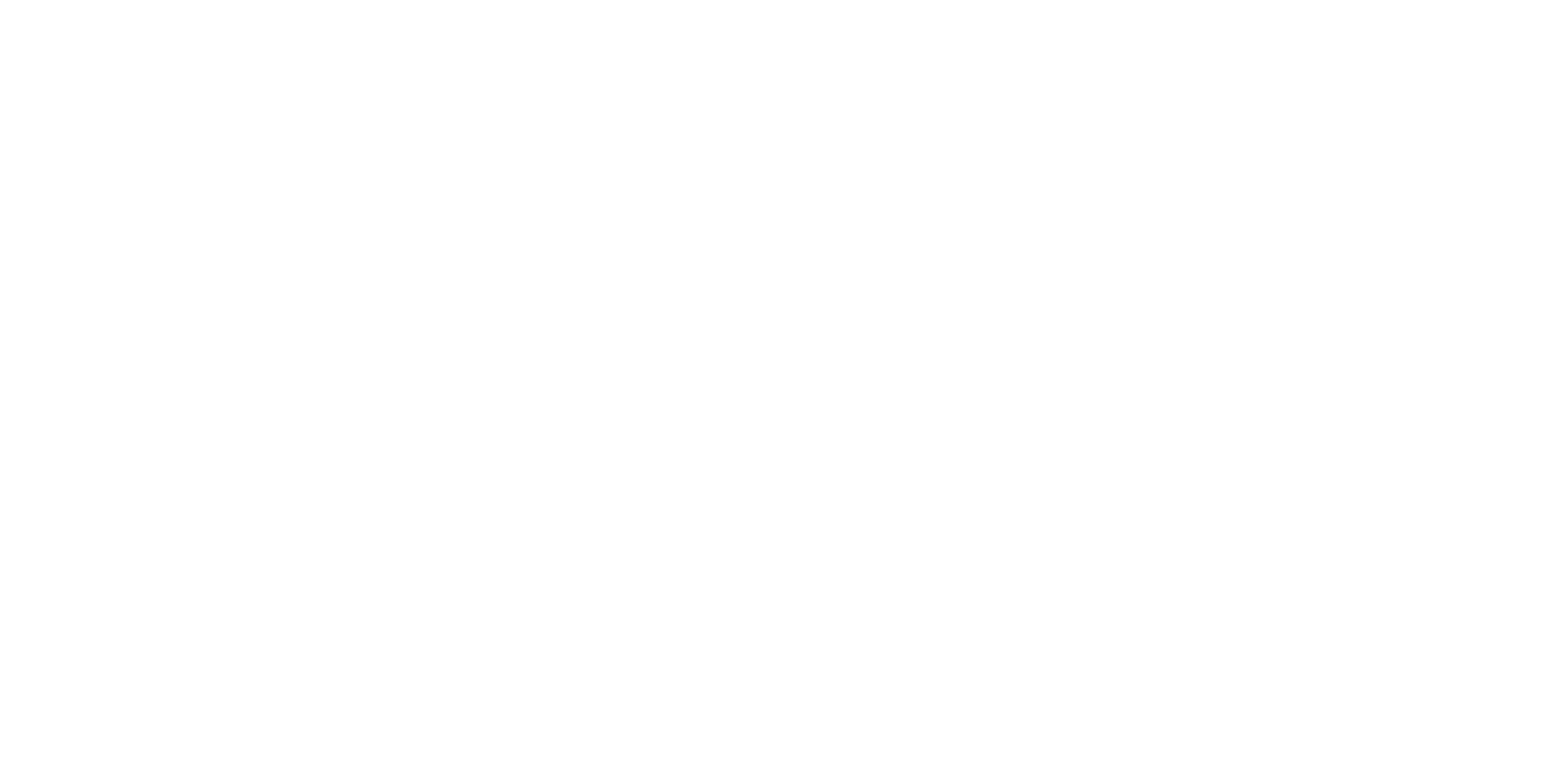 CLO Virtual Fashion